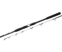 Загрузить изображение в средство просмотра галереи, Спиннинг на сома FLAGMAN Blackfire Cat Fish River