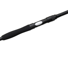 Загрузить изображение в средство просмотра галереи, Спиннинг на сома FLAGMAN Blackfire Cat Fish River