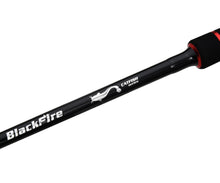 Загрузить изображение в средство просмотра галереи, Спиннинг на сома FLAGMAN Blackfire Cat Fish 50-200g