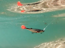 Загрузить изображение в средство просмотра галереи, Съедобные приманки Delphin Realix 3D 13cm