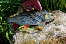 Загрузить изображение в средство просмотра галереи, Воблер FLAGMAN Flex 55F