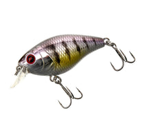 Загрузить изображение в средство просмотра галереи, Воблер FLAGMAN Flex 55F