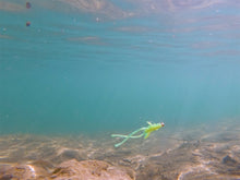 Загрузить изображение в средство просмотра галереи, Съедобные приманки Delphin B! Stinx NYMPHA lure (20pcs)