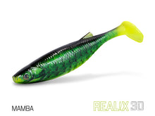 Загрузить изображение в средство просмотра галереи, Съедобные приманки Delphin Realix 3D 13cm