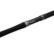 Încărca imaginea în galeria, Спиннинг на сома FLAGMAN Blackfire Cat Fish 50-200g - Flagmanshop