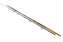 Încărca imaginea în galeria, Lansetă somn WIZARD Monster Catfish 500-700g