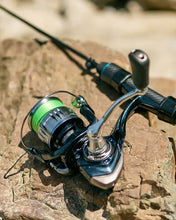 Загрузить изображение в средство просмотра галереи, Катушка FAVORITE Blue Bird Nano 500S