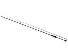 Загрузить изображение в средство просмотра галереи, Спиннинг AZURA Sawada