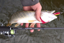 Загрузить изображение в средство просмотра галереи, Спиннинг SELECT '23 Ritmix