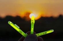 Загрузить изображение в средство просмотра галереи, Светлячки ENERGOFISH Night Wasp (2 шт)