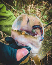 Încărca imaginea în galeria, Twistere comestibile SELECT Fatfish 2.4"