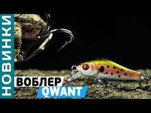 Загружайте и воспроизводите видео в средстве просмотра галереи Воблер FLAGMAN Qwant 35F