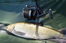 Загрузить изображение в средство просмотра галереи, Карповая катушка OKUMA Distance DTA-60