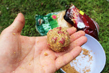 Загрузить изображение в средство просмотра галереи, Натуральный клей для шаров CARP EXPERT Sticky Grain