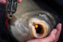 Încărca imaginea în galeria, Boilies BENZAR MIX Turbo Boilies Duo (16mm - 250 gr.)