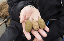 Încărca imaginea în galeria, Press forma cu buton CARP EXPERT In-Line, Boilie, Classic