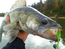 Загрузить изображение в средство просмотра галереи, Съедобные приманки SELECT Fetish 2'