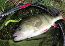 Загрузить изображение в средство просмотра галереи, Съедобные приманки SELECT Fetish 2'