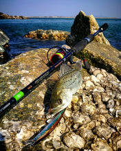 Загрузить изображение в средство просмотра галереи, Спиннинг FAVORITE X1 Travel + Tubus 2.44 m (Ex.Fast)