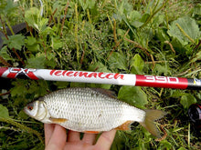 Încărca imaginea în galeria, Match telescopic CARP EXPERT Tele Match