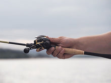 Загрузить изображение в средство просмотра галереи, Катушка мультипликаторная Delphin ZANDERA (5+1)
