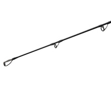 Încărca imaginea în galeria, Спиннинг на сома FLAGMAN Blackfire Cat Fish 50-200g - Flagmanshop
