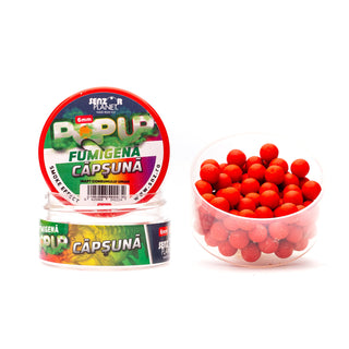 Căpșună
