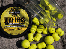 Încărca imaginea în galeria, Wafters Dumbells Bucovina Baits 8-11mm 20g
