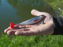 Загрузить изображение в средство просмотра галереи, Съедобные приманки Delphin Realix 3D 13cm
