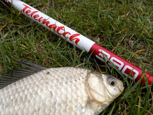 Încărca imaginea în galeria, Телескопический матч CARP EXPERT Tele Match - Flagmanshop
