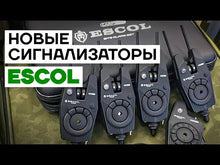 Загружайте и воспроизводите видео в средстве просмотра галереи Набор сигнализаторов CARP PRO Escol WRS 3+1+WiFi
